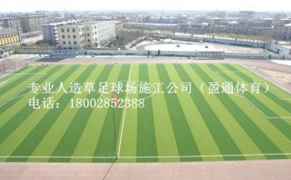 瑞丽有足球场吗最近，瑞丽有足球场吗最近开放吗